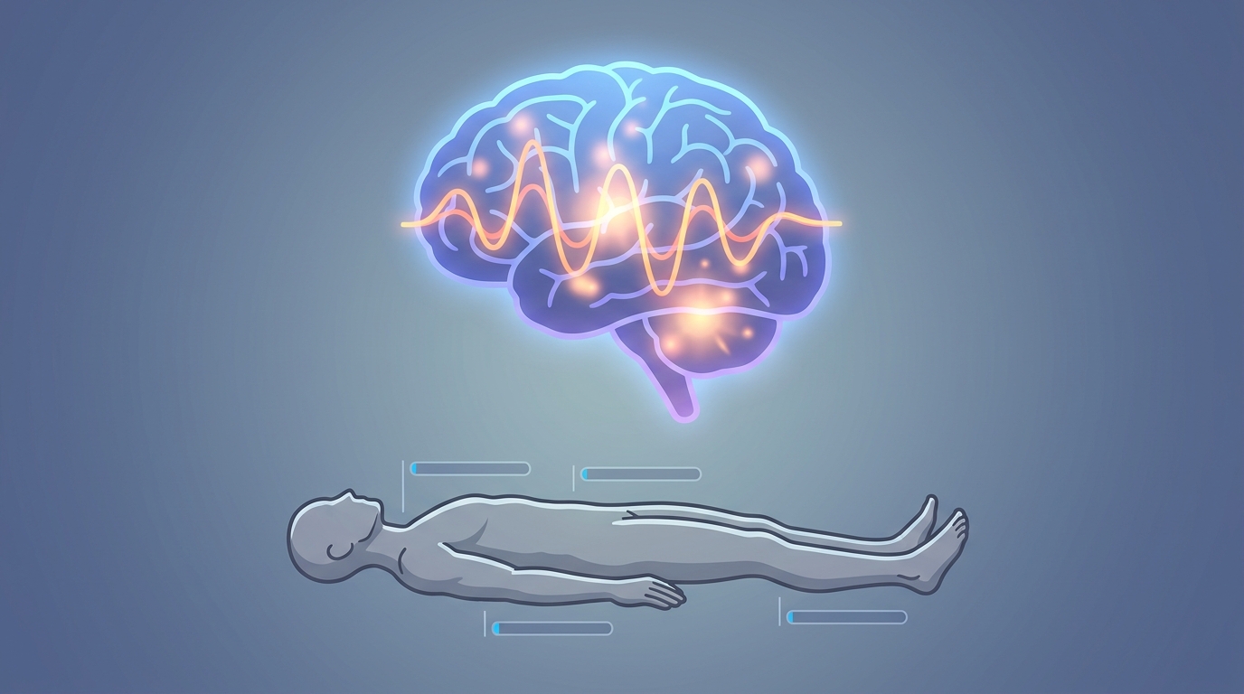 Contraste cerveau très actif vs corps presque immobile (atonie)